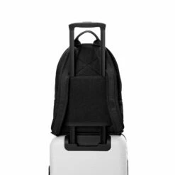 Dakota Backpack In Onyx Air Mesh, Medium -Hot Sale Dagne Dover Store 365 Dakota M Onyx Luggage FFFFFF